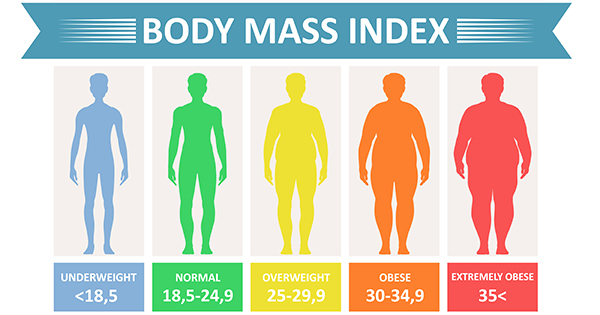 BMI Scale